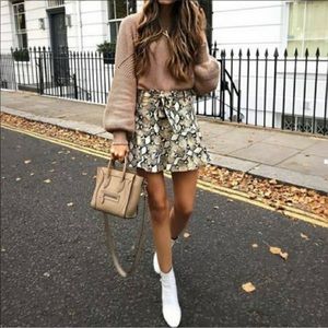 Zara snake print skort
